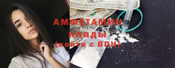 спиды Богородицк