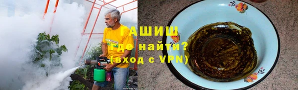 спиды Богородицк