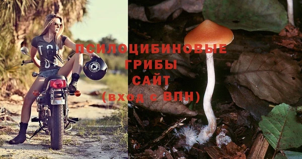 спиды Богородицк