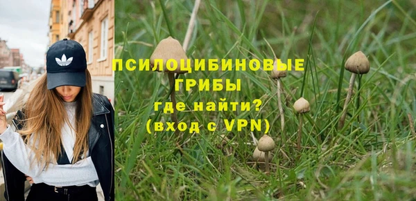 спиды Богородицк