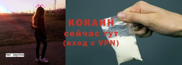 спиды Богородицк