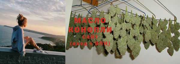 метадон Богданович