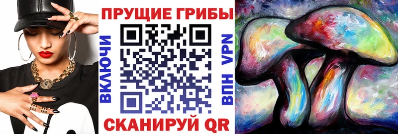 купить   Муравленко  Галлюциногенные грибы GOLDEN TEACHER 